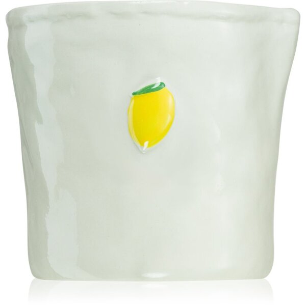 Paddywax Bistro Meyer Lemon candela profumata 226 g