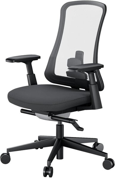 Sedia da ufficio ergonomica - Sedia da lavoro confortevole - Adatta a lunghe sessioni di lavoro - Supporto lombare regolabile - Taglia L - Colore nero