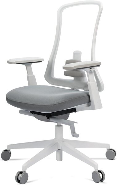 Sedia da ufficio ergonomica - Sedia da lavoro confortevole - Adatta a lunghe sessioni di lavoro - Supporto lombare regolabile - Profondità 71 cm - Grigia