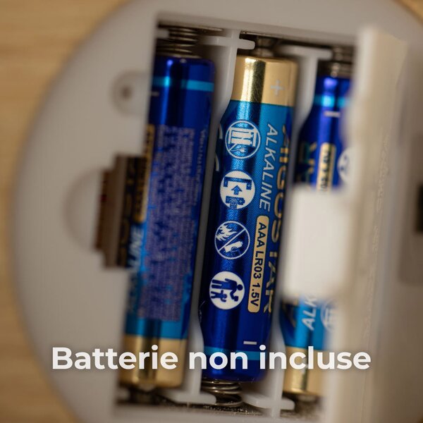 Lampada di Sale Himalayano a batteria Bianco naturale a forma di Angelo 600gr