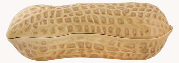 Scatola portaoggetti decorativa in gres Nuts