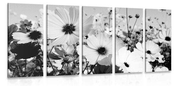 Quadri in 5 parti fiori primaverili in bianco e nero - 100x50