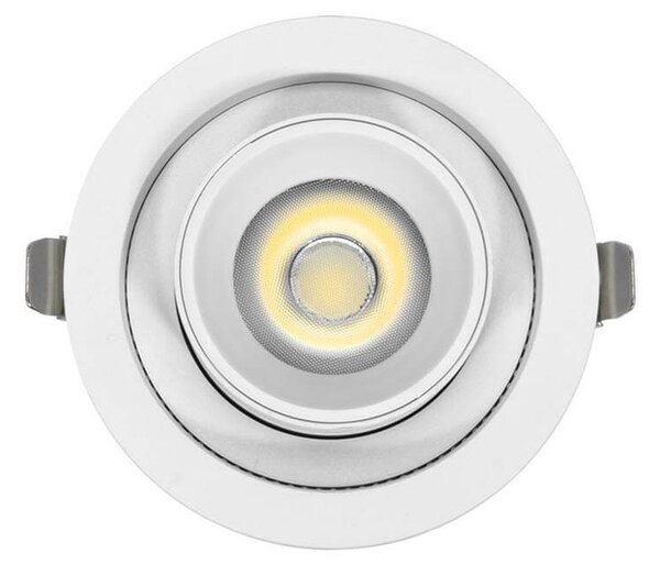 Faro LED da Incasso 15W Orientabile CCT Bianco Variabile Foro Ø100mm Colore Bianco Variabile CCT