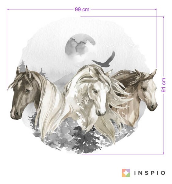 Cavalli nei colori marrone e grigio - adesivi per teenagers