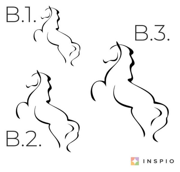 Adesivi per il muro - Cavallo