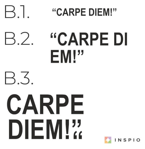 Adesivi murali - Carpe Diem