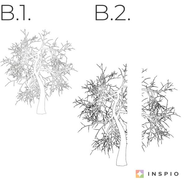 Adesivo murale - Albero ramificato