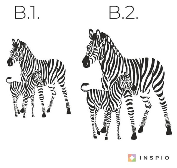 Adesivi da parete - Zebra piccola