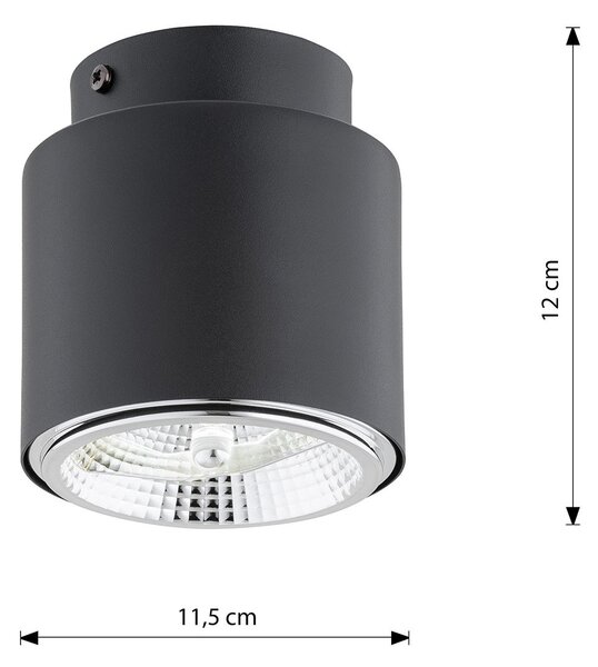 Plafoniera Moderna 1 Luce Faretto Aditya In Acciaio Nero