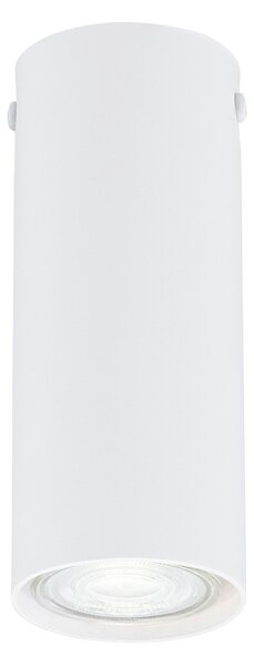 Plafoniera Moderna Faretto Mahadeva 1 Luce Acciaio Bianco 15 Cm