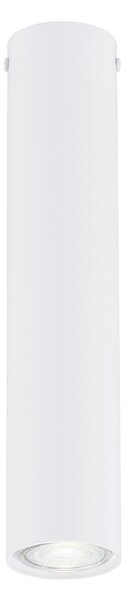 Plafoniera Moderna Faretto Mahadeva 1 Luce Acciaio Bianco 30 Cm