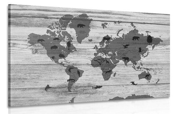 Quadri mappa su sfondo in legno in bianco e nero - 60x40
