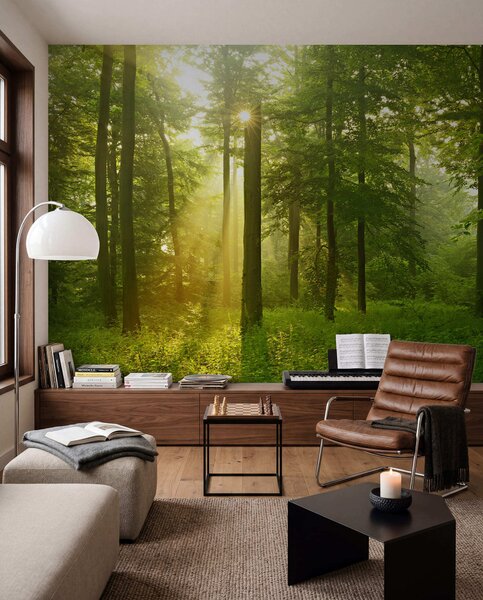 Carta da parati Silenzio nella foresta soleggiata, Carta da parati Natura, u57295 : Uwalls.it