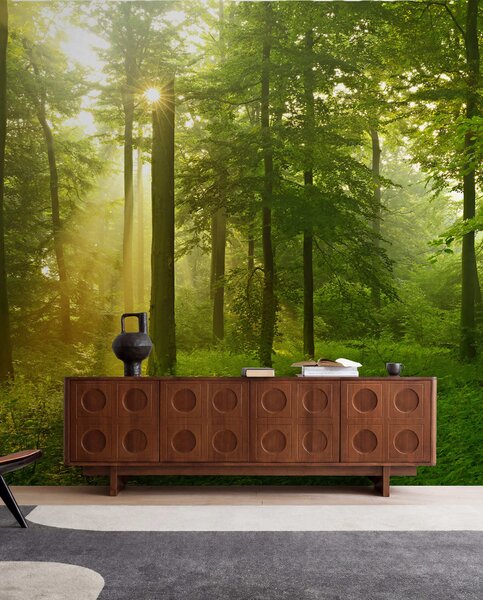 Carta da parati Silenzio nella foresta soleggiata, Carta da parati Natura, u57295 : Uwalls.it