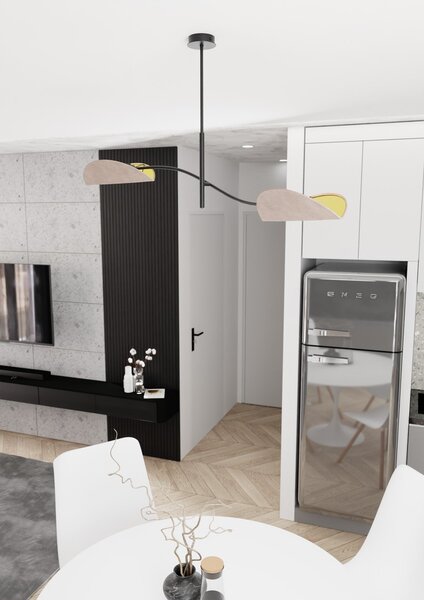 Plafoniera Moderna Pallade Acciaio Nero Grigio 2 Luci E14