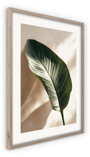 Dipinto stampato con cornice inclusa 50x70 cm Strelizia Leaf – Styler