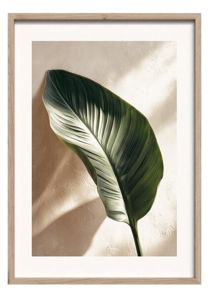 Dipinto stampato con cornice inclusa 50x70 cm Strelizia Leaf – Styler