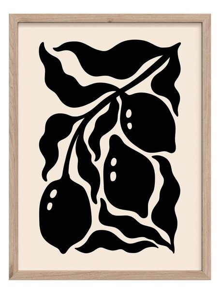 Dipinto stampato con cornice inclusa 30x40 cm Fruit – Styler