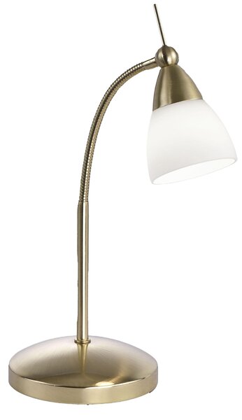 Paul Neuhaus 4001-60 Pino Lampada da tavolo a LED + dimmer graduale 3W 3000K ottone
