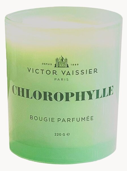 Candela profumata fatta a mano Chlorophylle (tulipani, vetiver, fresia)