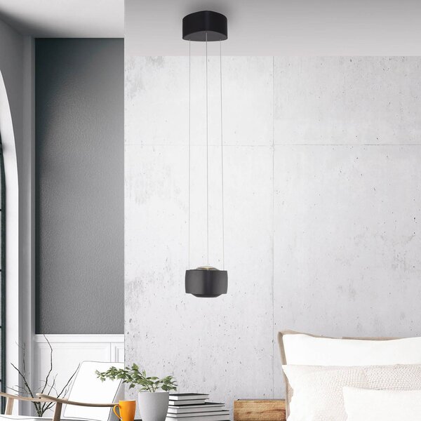 Paul Neuhaus lampada LED a sospensione Q-Stretto, nera, Ø 14,5 cm dimmerabile, Nero, Soggiorno / Sala da pranzo, Metallo, Moderno