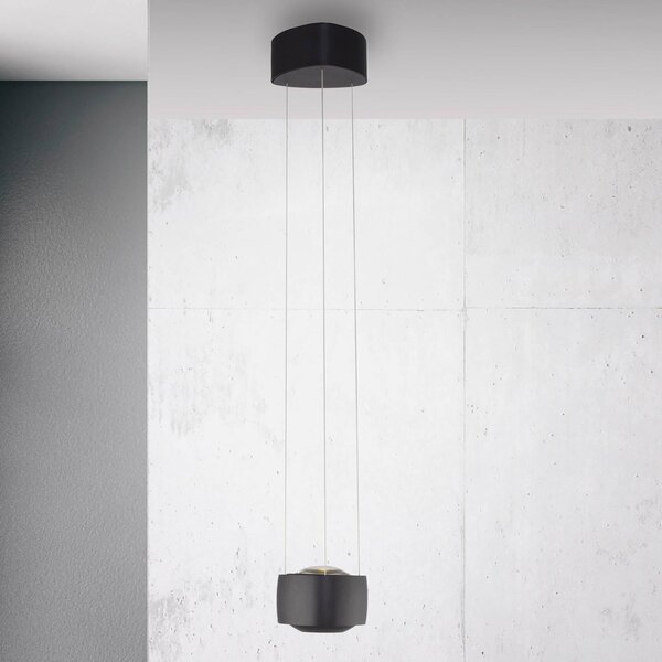 Paul Neuhaus lampada LED a sospensione Q-Stretto, nera, Ø 14,5 cm dimmerabile, Nero, Soggiorno / Sala da pranzo, Metallo, Moderno