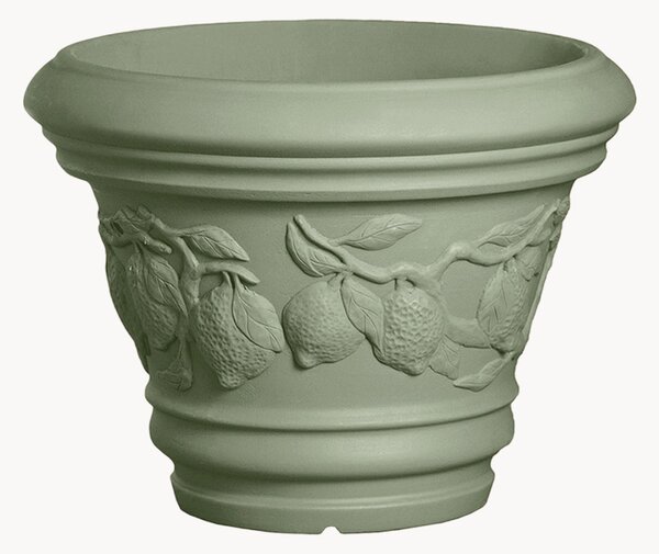 Portavaso Limoni