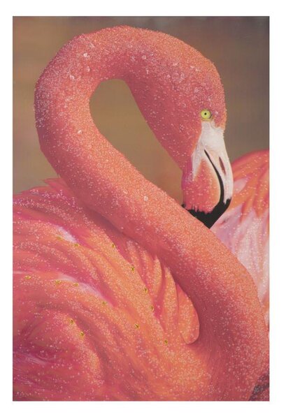 Stampa Su Tela Con Applicazioni Flamingo 80x3,8x120 Cm In Legno E Canvas