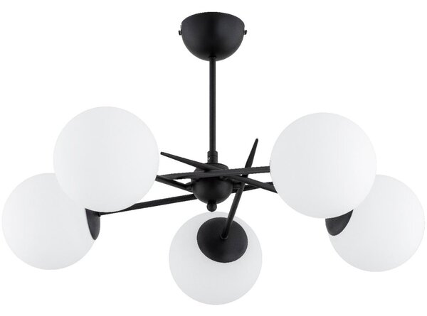 Lampadario a plafone PRIMERY 5xE14/10W/230V nero