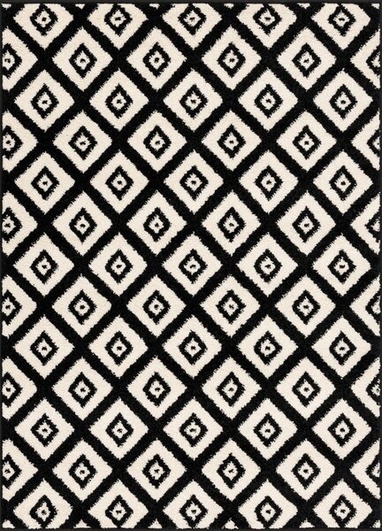 Tappeto bianco e nero 80x120 cm Avanti - FD