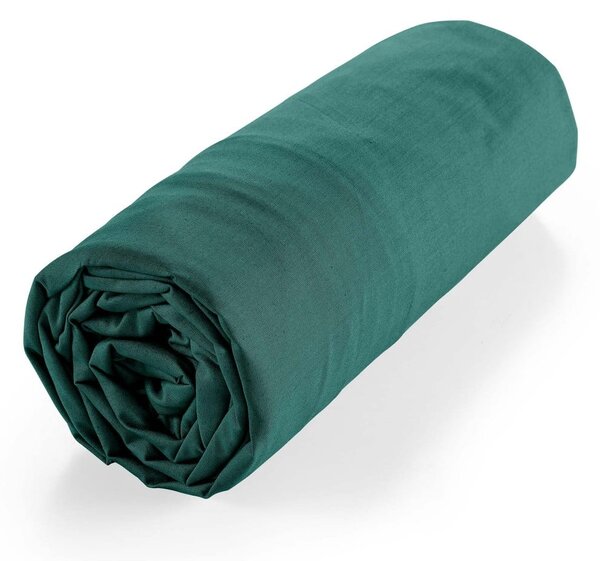 Lenzuolo elasticizzato verde in cotone biologico 160x200 cm Biolina - douceur d'intérieur