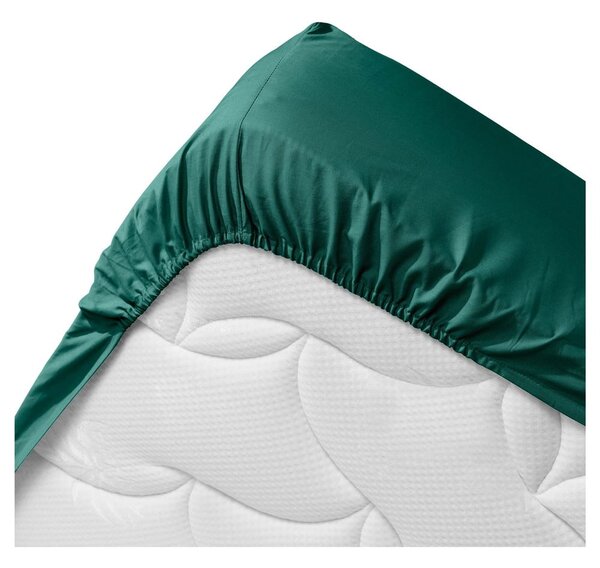 Lenzuolo elasticizzato verde in cotone biologico 160x200 cm Biolina - douceur d'intérieur