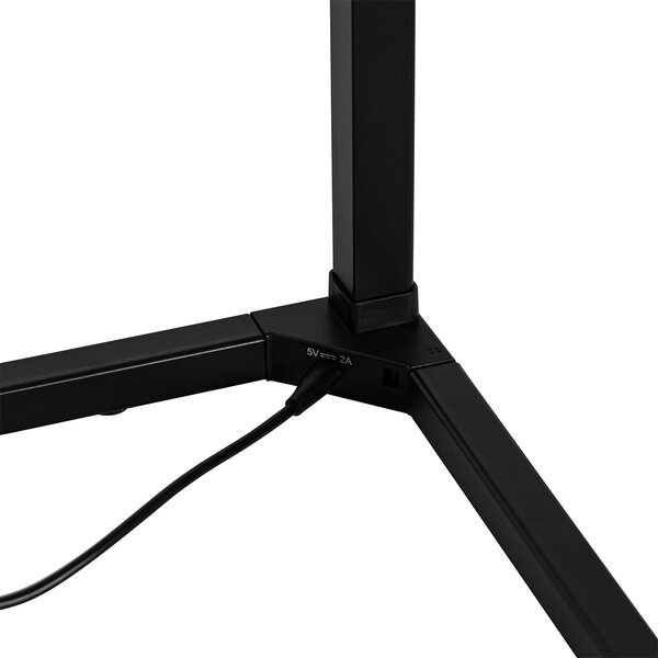 Lampada da terra nera con LED RGB e telecomando - Carla