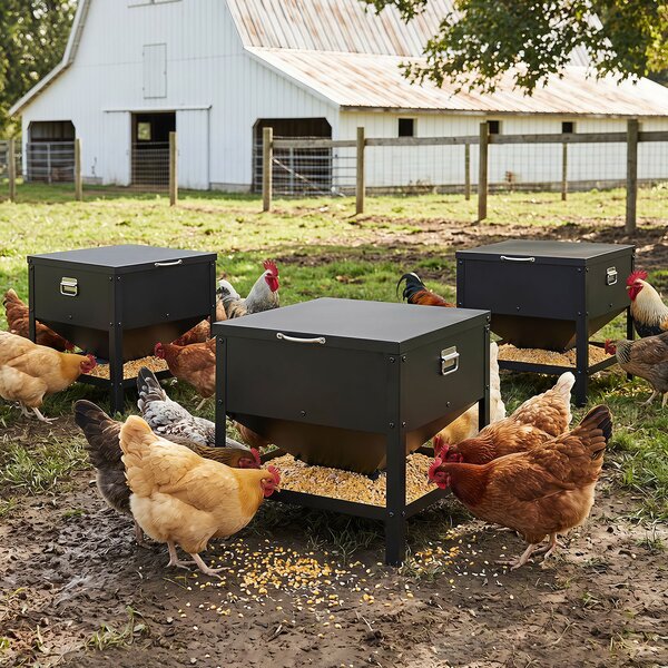 Costway Mangiatoia automatica per polli da 56 l con vassoio spazioso, Distributore di mangime per galline in metallo zincato