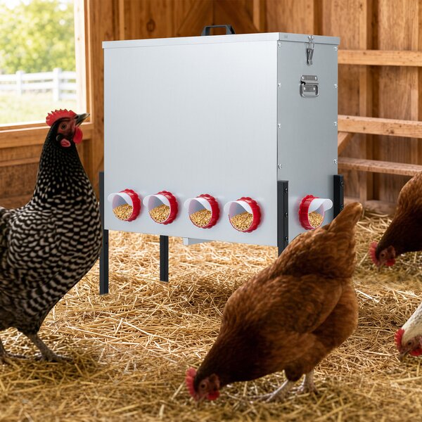 Costway Mangiatoia per galline con 10 aperture altezza regolabile e maniglie comode, Mangiatoia automatica per pollame per esterno e interno