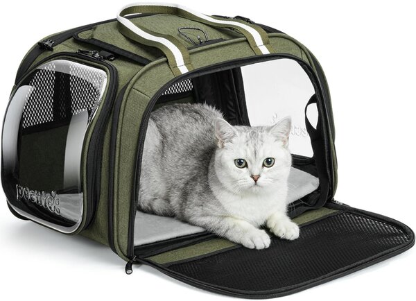 Solidchoice - Trasportino premium per animali domestici con finestra a bolle e protezione solare, colore verde