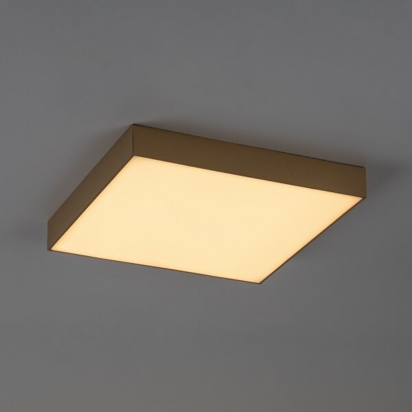 Rabalux 77000 - Plafoniera LED da soffitto per bagno TARTU 24W/230V 2800/4000/6000K IP44