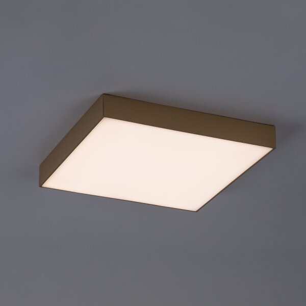 Rabalux 77000 - Plafoniera LED da soffitto per bagno TARTU 24W/230V 2800/4000/6000K IP44