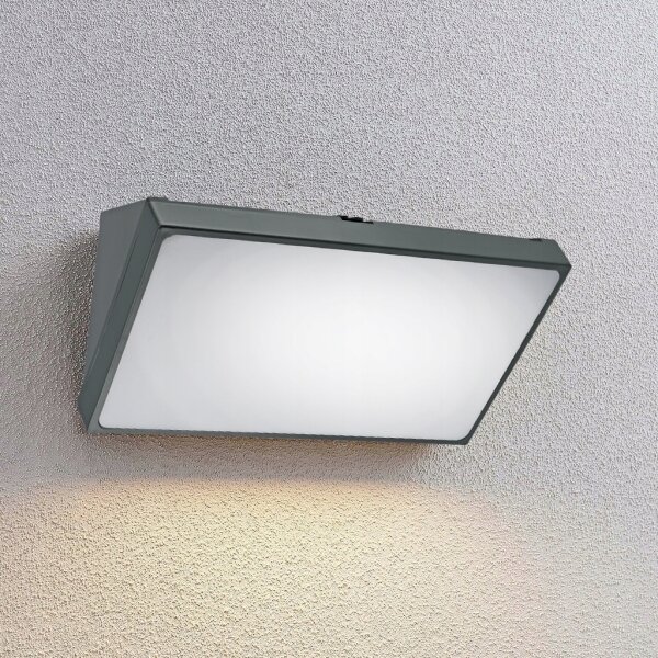 Lampada da parete per esterni LED/20W/230V IP65 grigia