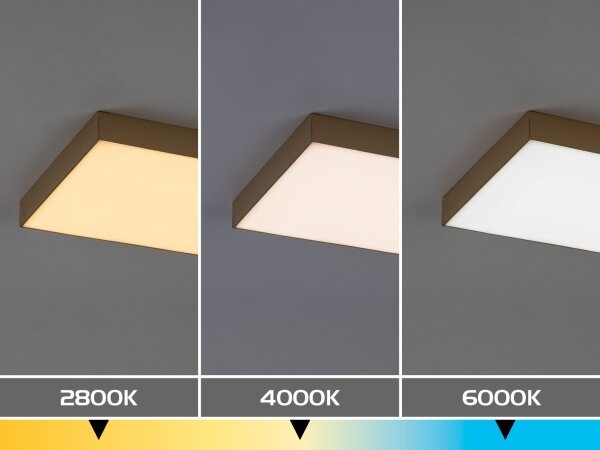 Rabalux 77000 - Plafoniera LED da soffitto per bagno TARTU 24W/230V 2800/4000/6000K IP44