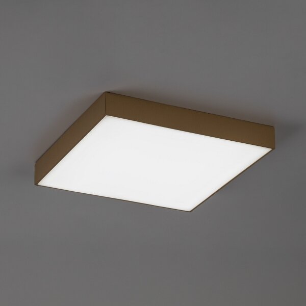 Rabalux 77000 - Plafoniera LED da soffitto per bagno TARTU 24W/230V 2800/4000/6000K IP44