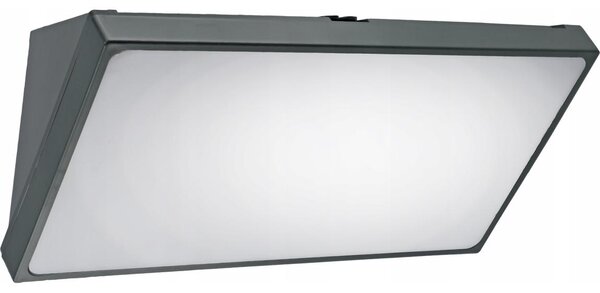 Lampada da parete per esterni LED/20W/230V IP65 grigia