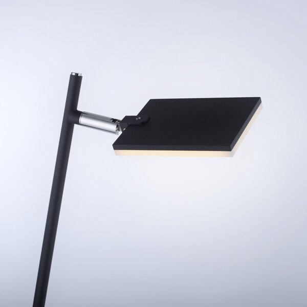 Lampada da terra PURE, Pure Mira, dimmerabile, Nero, Soggiorno, Metallo, Moderno