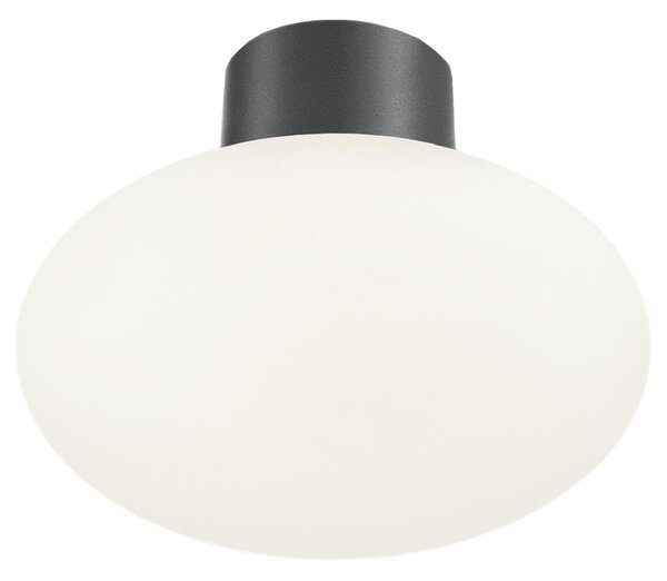 Ideal Lux - Plafoniera da esterno CLIO 1xE27/42W/230V IP44 antracite
