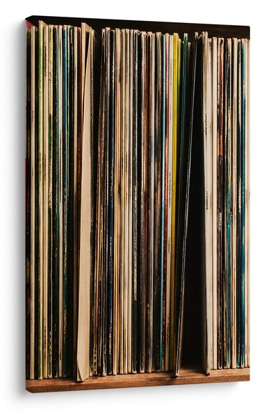 Quadro su tela – Collezione di vecchi LP