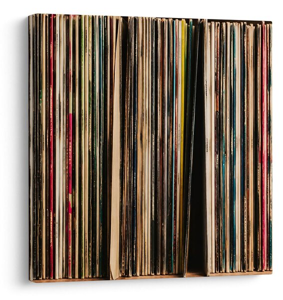 Quadro su tela – Dorsi colorati degli album
