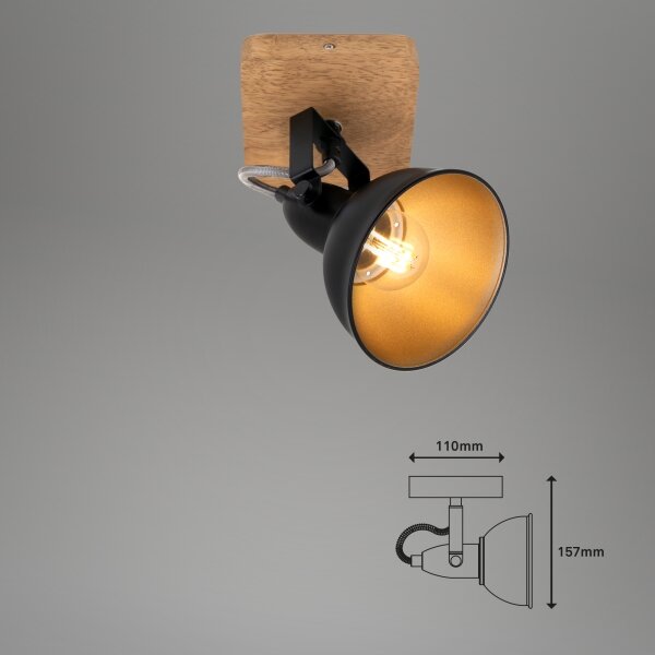 Briloner 2901-015 - Faretto SPOT 1xE14/25W/230V