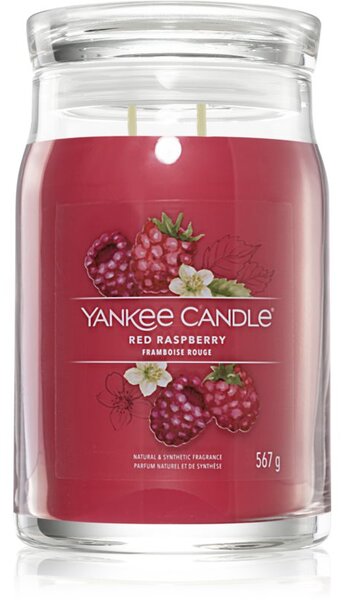 Yankee Candle Red Raspberry candela profumata I Signature 567 g