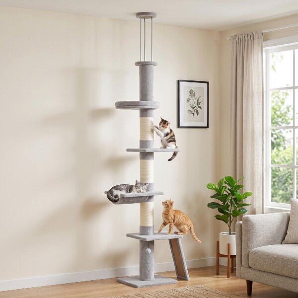 AllMyPets Tiragraffi per Gatti a Soffitto con Altezza 230-260 cm 3 Pali Graffiatoi Amaca in Peluche colore Grigio Chiaro