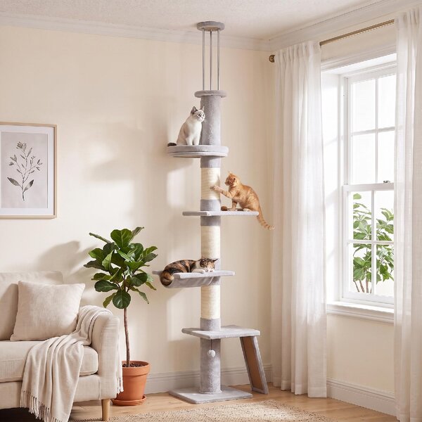 AllMyPets Tiragraffi per Gatti a Soffitto con Altezza 230-260 cm 3 Pali Graffiatoi Amaca in Peluche colore Grigio Chiaro